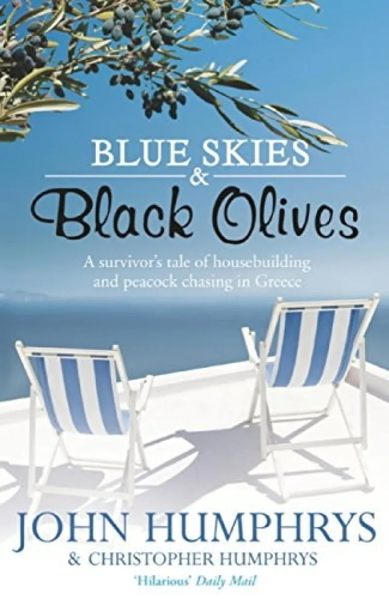 Book cover for 'Blue Skies And Black Olives'