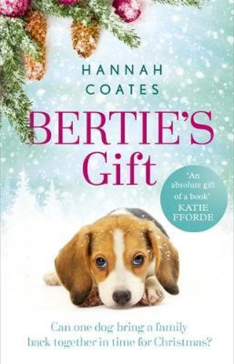Book cover for 'Bertie's Gift'