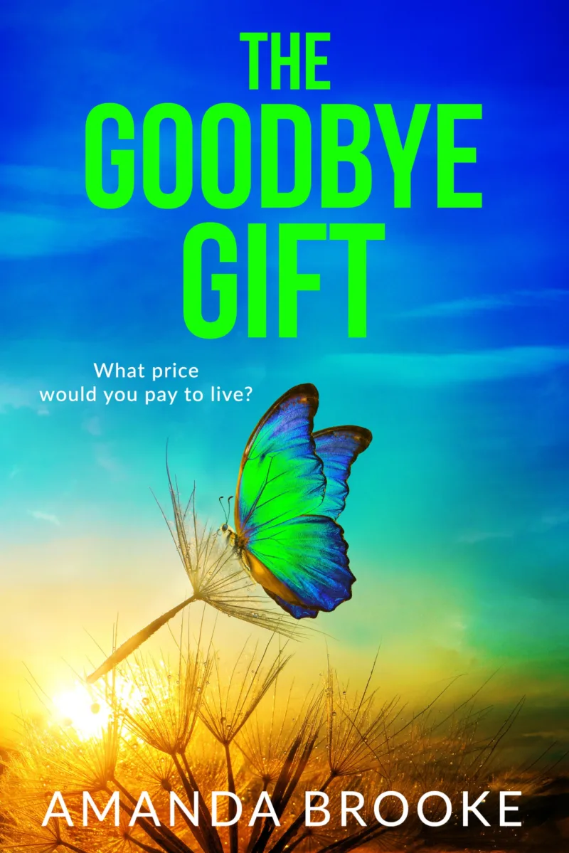 Book cover for 'The Goodbye Gift'