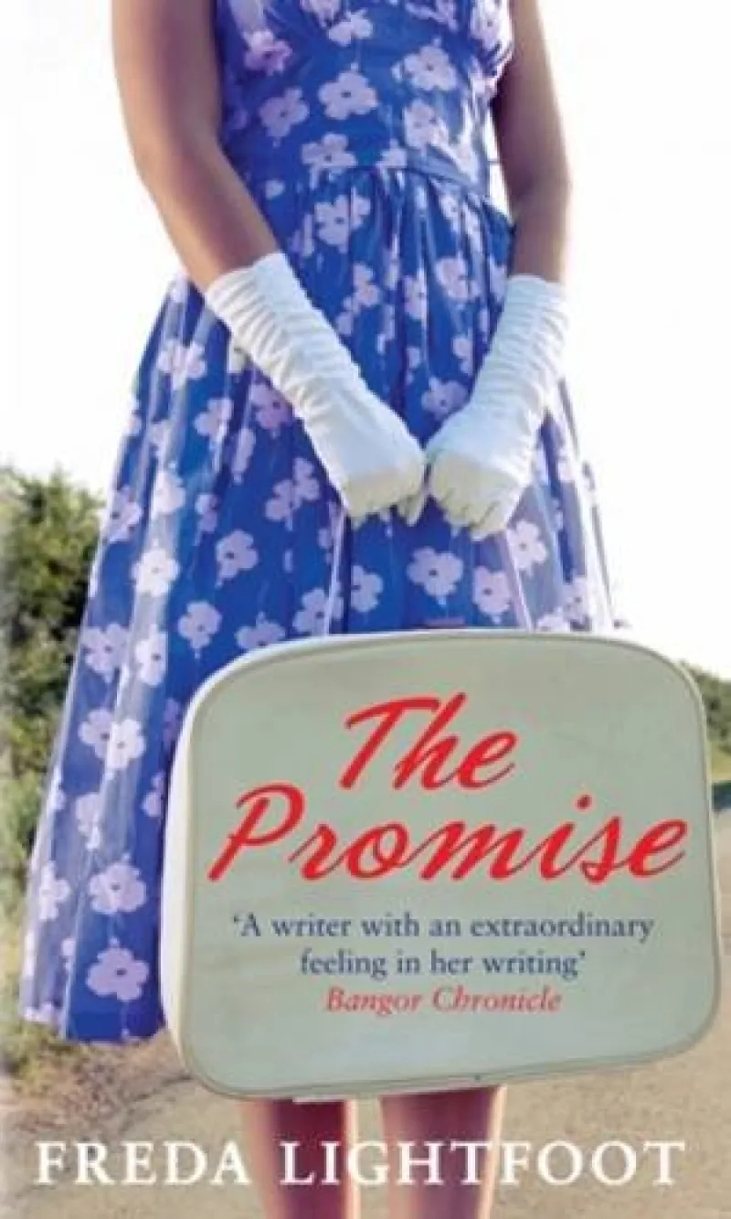 Book cover for 'The Promise'