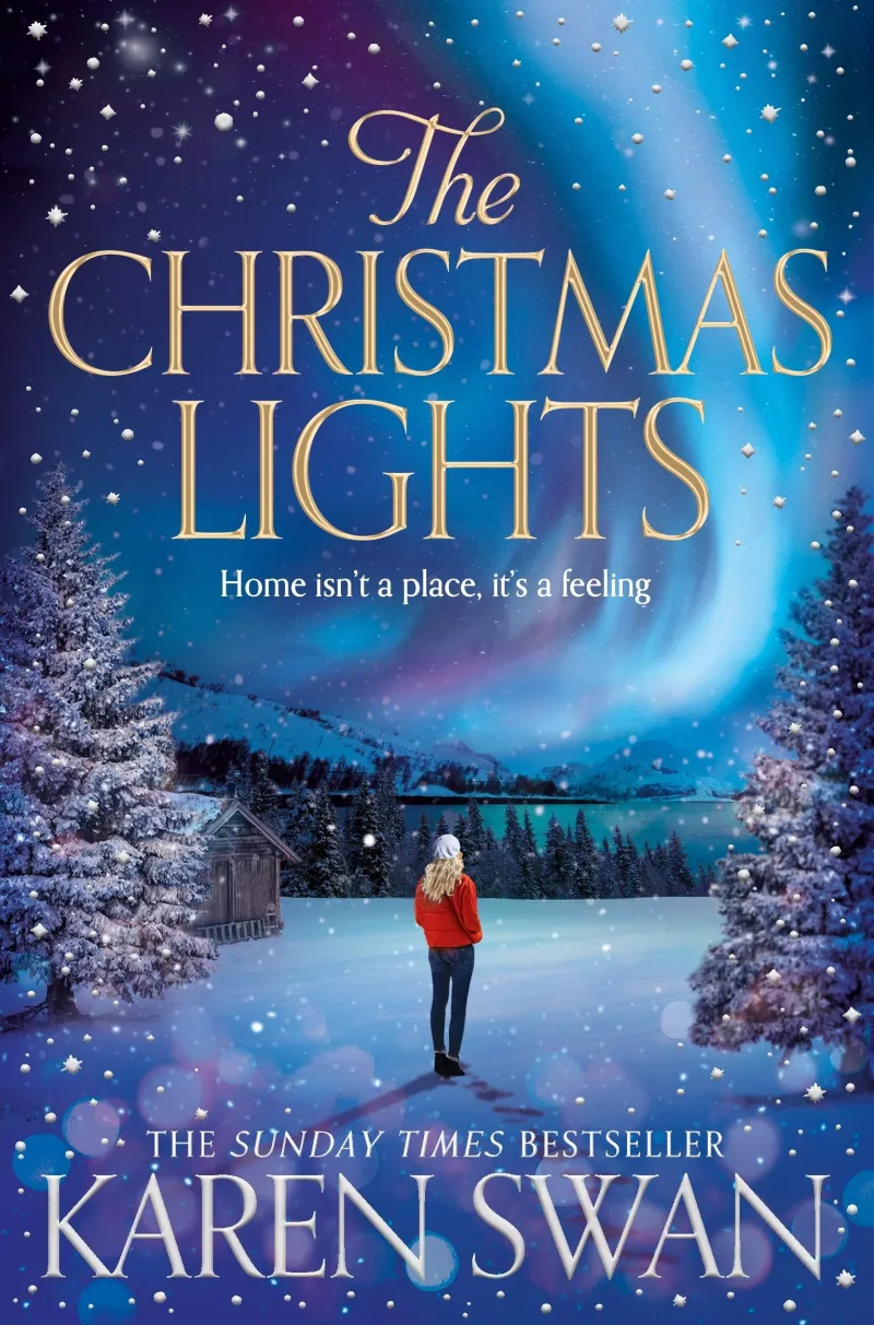 Book cover for 'The Christmas Lights'