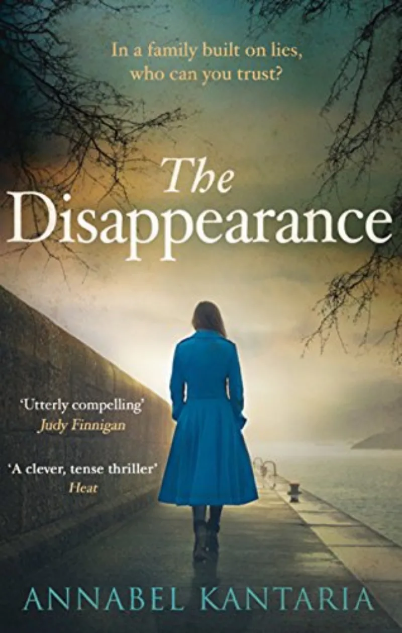 Book cover for 'The Disappearance'